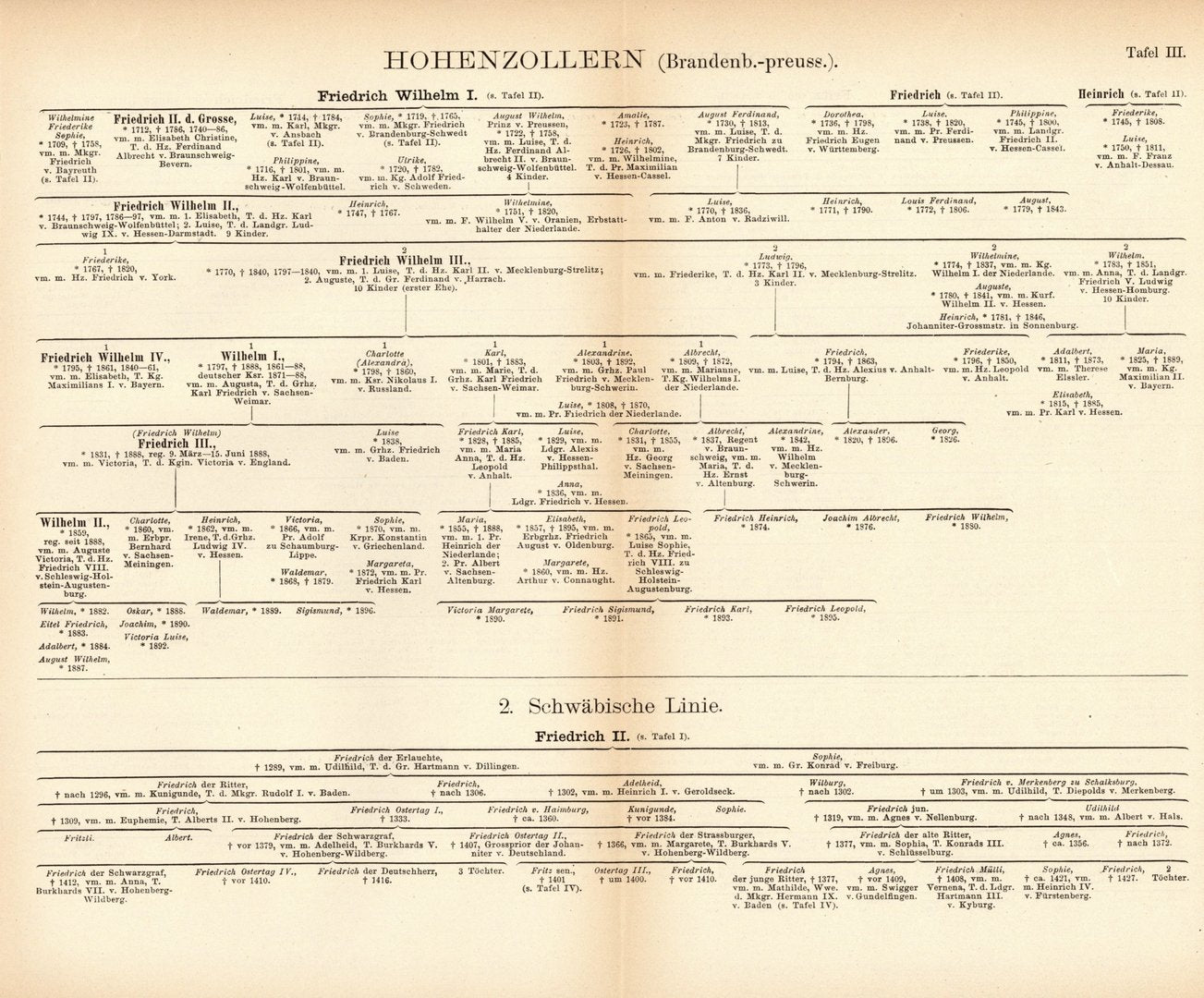 Stammliste der Hohenzollern (schwäb. u. Brandenb-preuss). Buchillustration von 1897