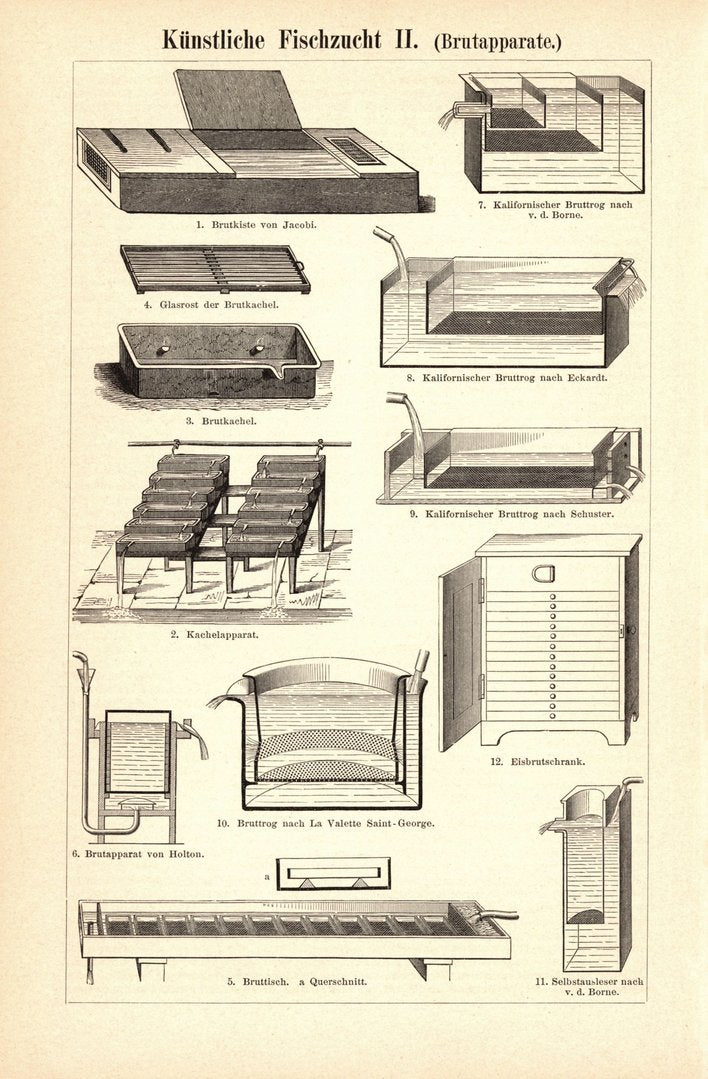 Künstliche Fischzucht. Buchillustration (Stich) von 1895