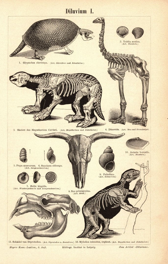Diluvium. Buchillustration (Stich) von 1895