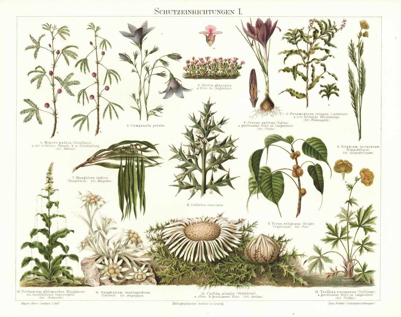 Schutzeinrichtungen I. Lithografie von 1897