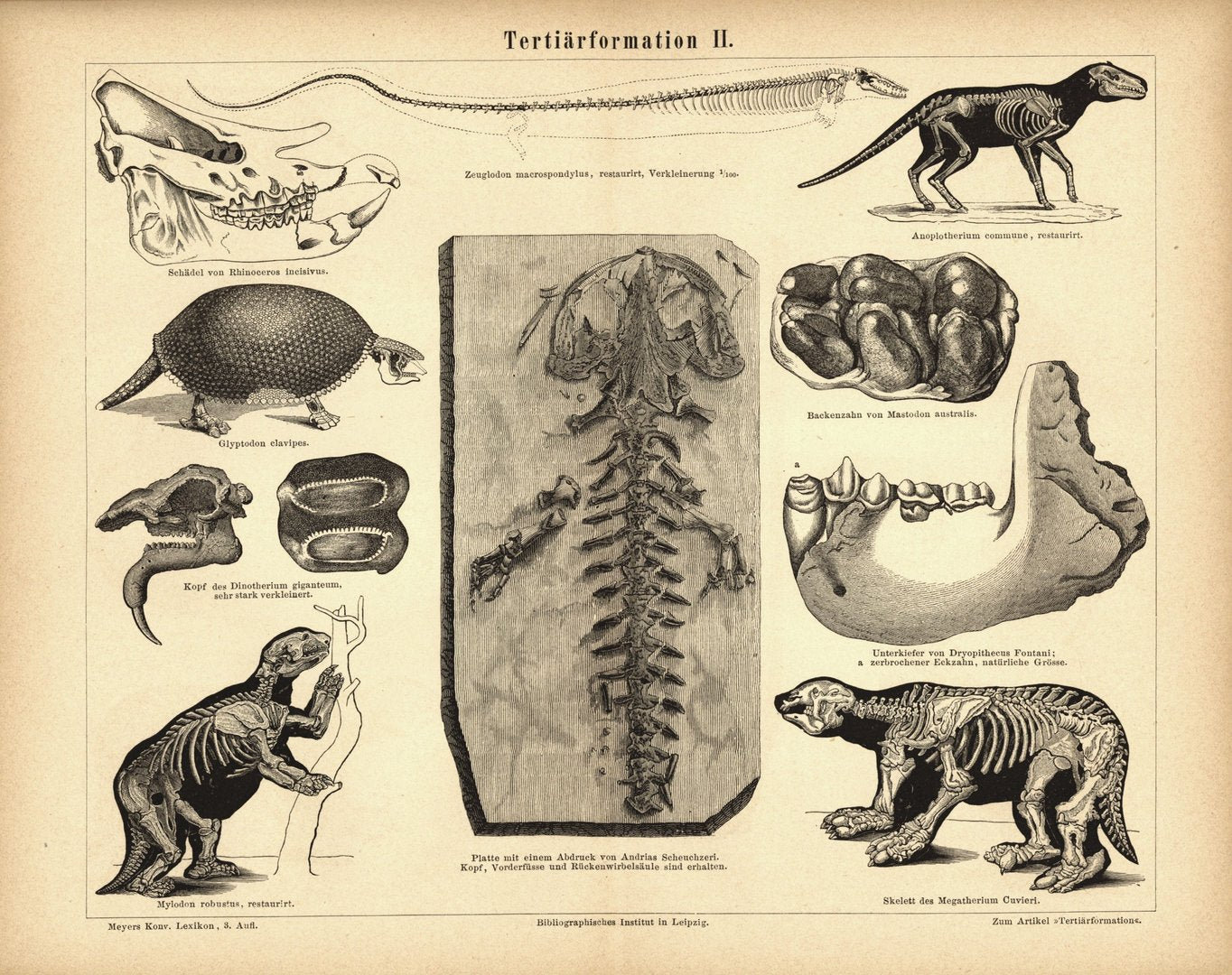Tertiärformation. Buchillustration (Stich) von 1878