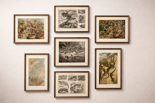 The Non-Human Archive: Reptiles