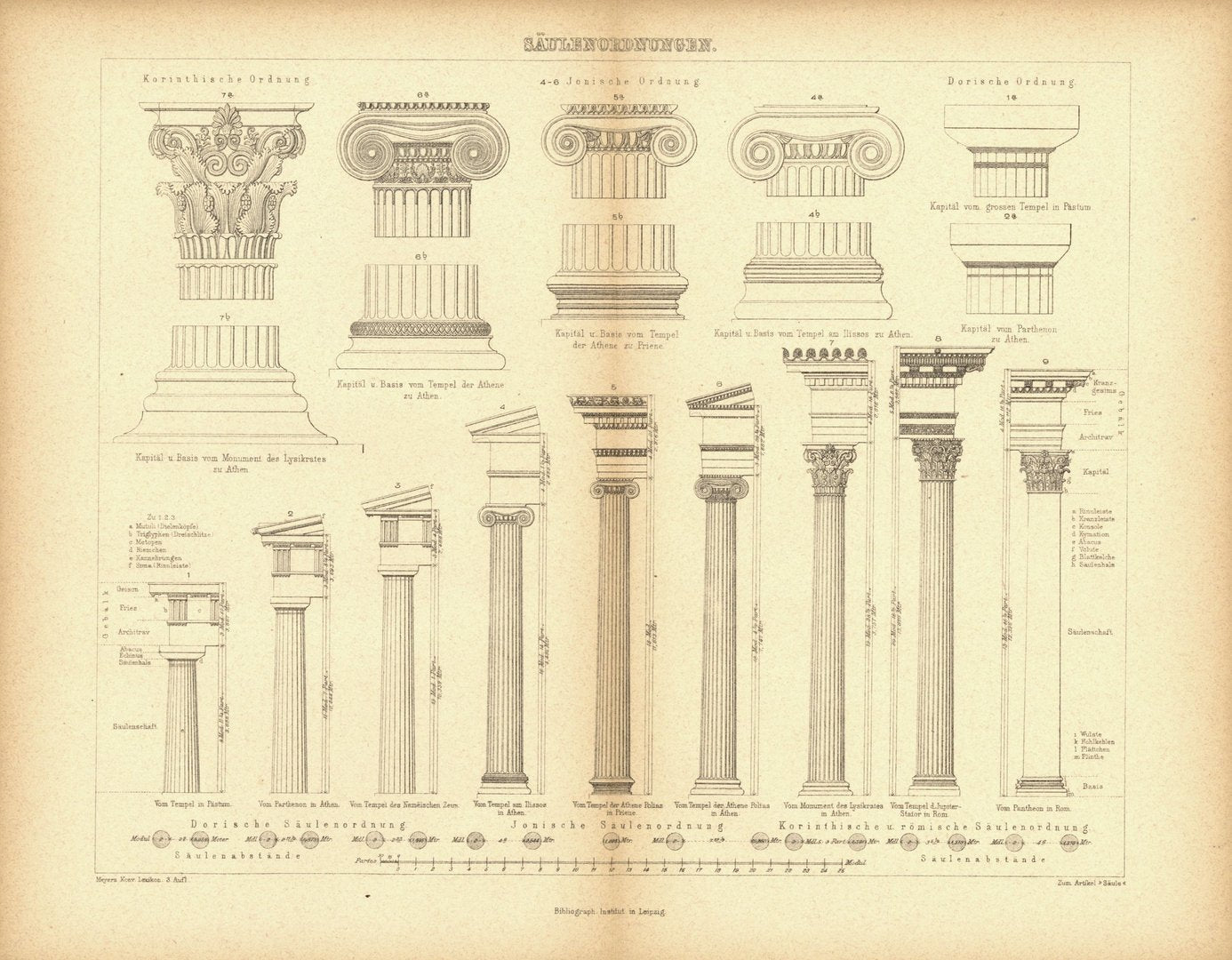 Säulenordnungen. Buchillustration von 1878