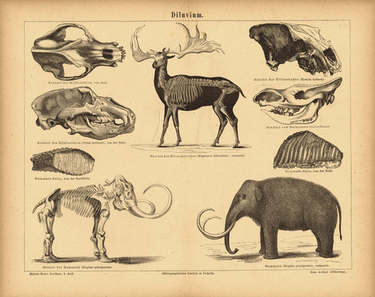 Diluvium. Buchillustration (Stich) von 1874