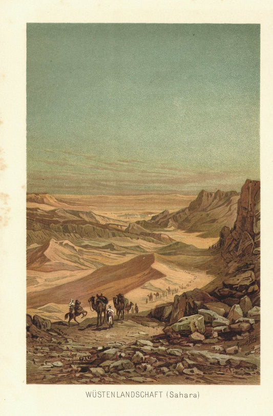 Wüstenlandschaft in der Sahara. Lithographie von 1886