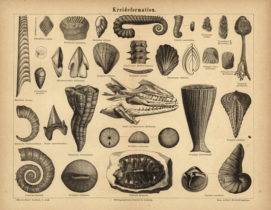 Kreideformation. Buchillustration (Stich) von 1877