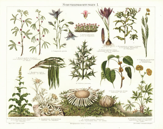 Schutzeinrichtungen I. Lithografie von 1897