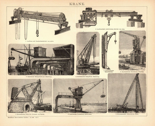 Krane. Buchillustration (Stich) von 1897