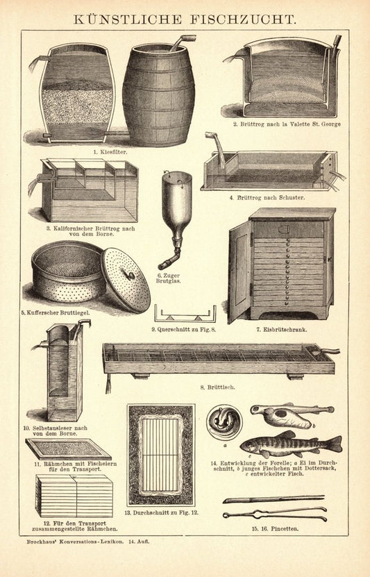 Künstliche Fischzucht. Buchillustration (Stich) von 1897