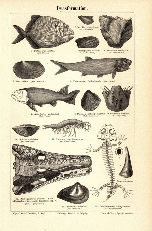 Dyasformation. Buchillustration (Stich) von 1895