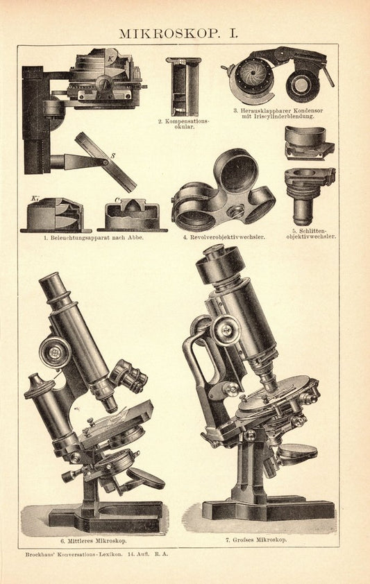 Mikroskop. Buchillustration (Stich) von 1897