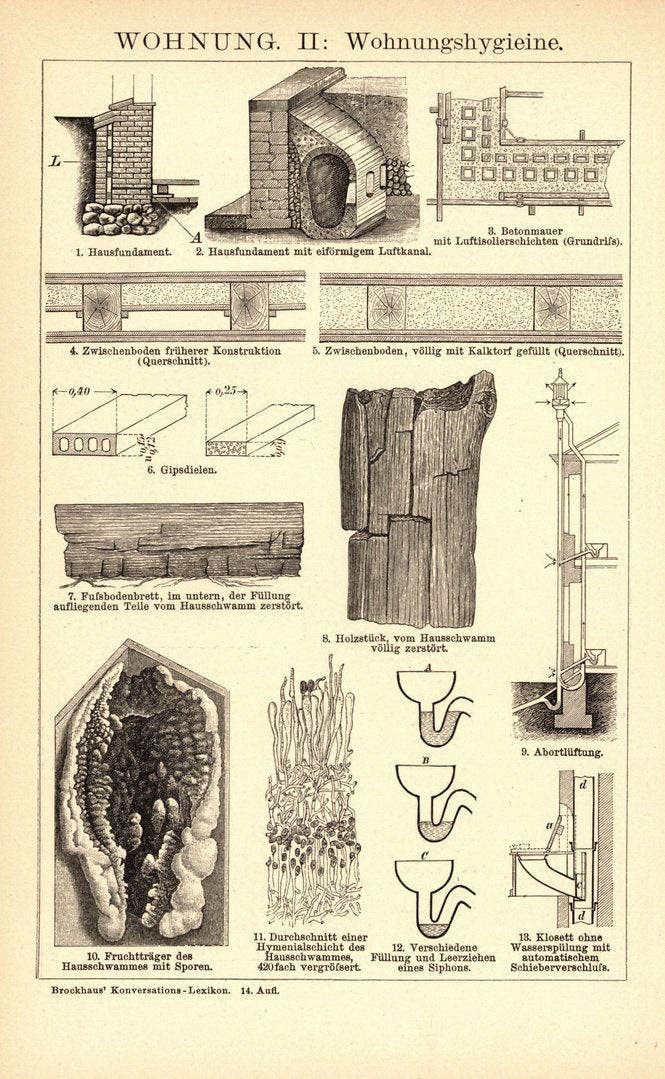 Wohnung, Wohnhäuser, Wohnungshygiene. Buchillustration (Stich) von 1897