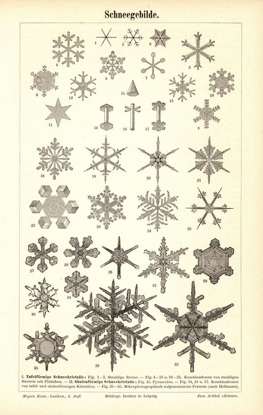 Schneegebilde. Buchillustration (Stich) von 1897
