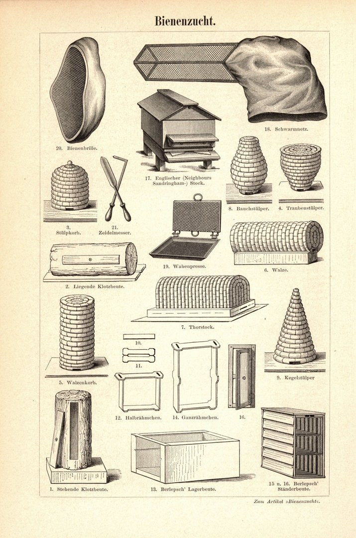 Bienen. Buchillustration (Stich) von 1893