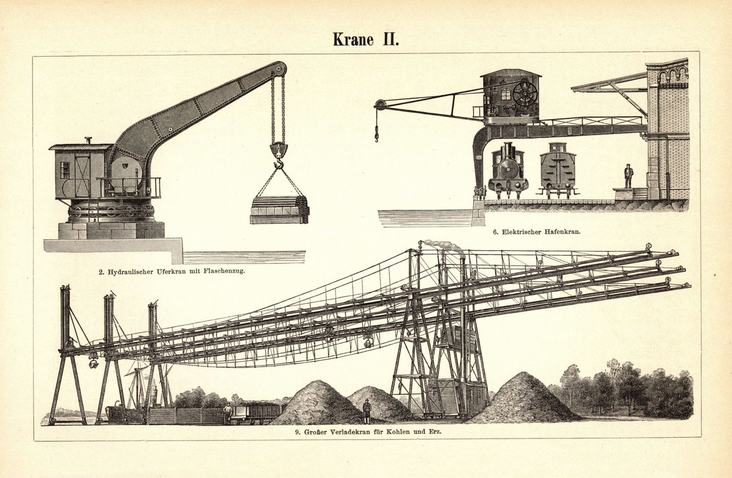Krane. Buchillustration (Stich) von 1896