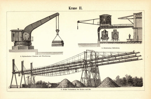 Krane. Buchillustration (Stich) von 1896