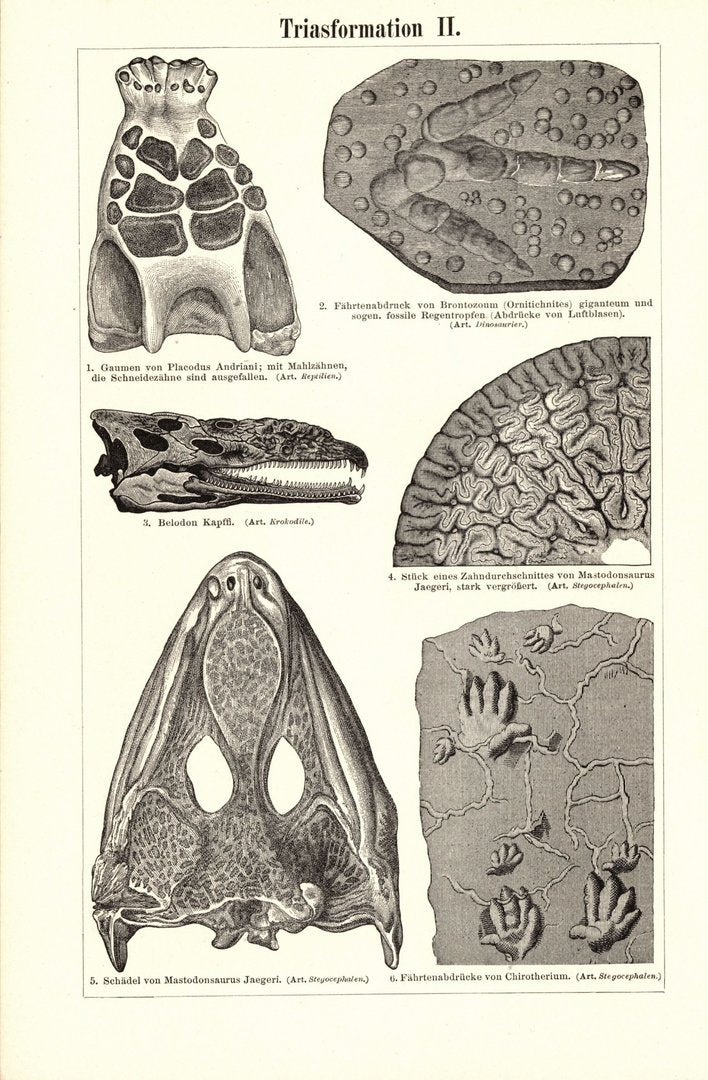 Triasformation. Buchillustration (Stich) von 1897