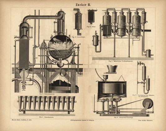 Zucker II. Buchillustration (Stich) von 1878