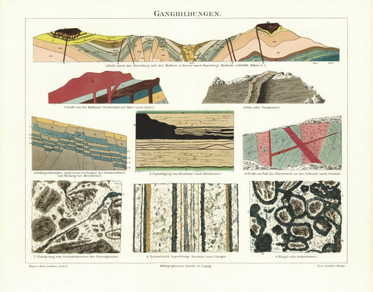 Gangbildungen. Lithografie von 1895