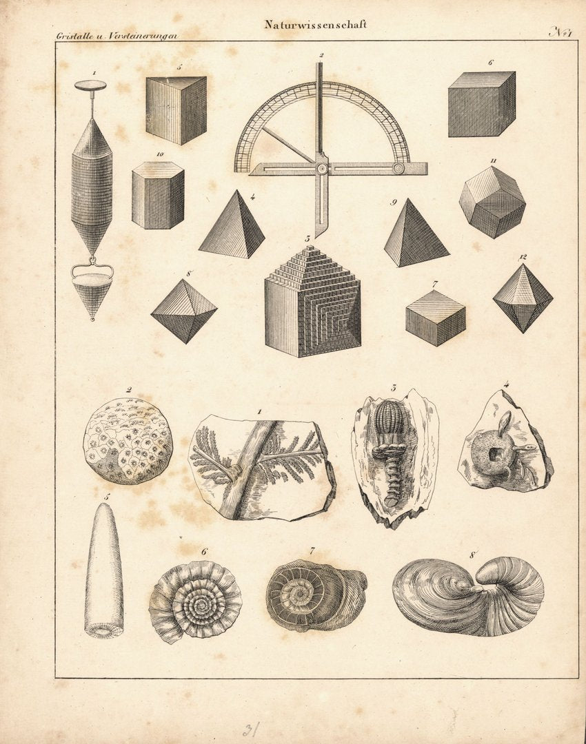 Kristalle und Versteinerungen, Naturwissenschaft Nr. 1. Lithografiertes Blatt von 1830.